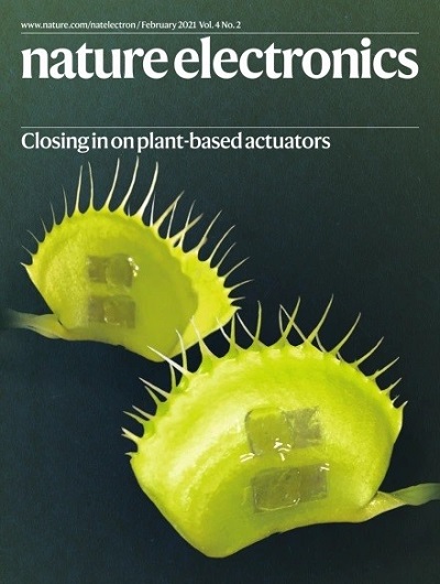NTU Singapore scientists develop device to 'communicate' with plants using electrical signals – Professor Chen Xiaodong