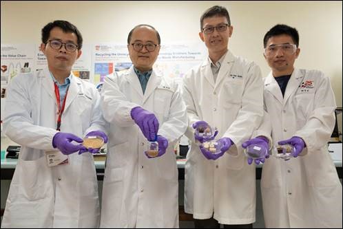A Hairy Solution V1 - Prof Ng Kee Woei & Prof Hu Xiao