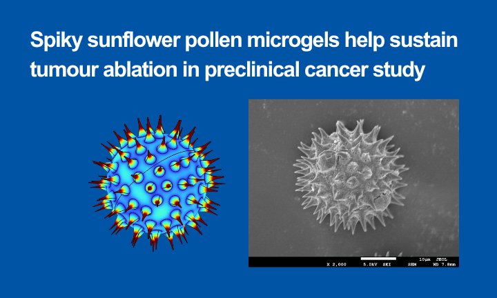 Spiky Sunflower Pollen Microgels - Prof Cho NJ - Aug 2026