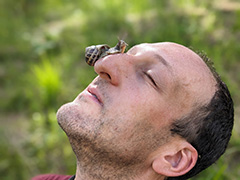 Prof Mike Short - MSE Seminar Speaker