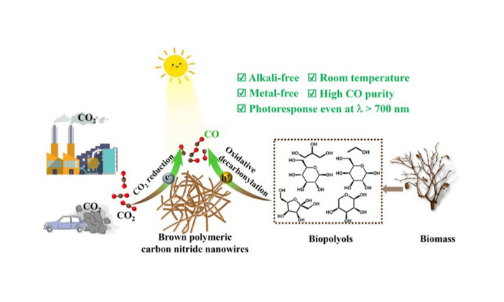 Bipolar photocatalysis for CO generation via biopolyol oxidation and CO2 reduction over brown polymeric carbon nitride nanowires