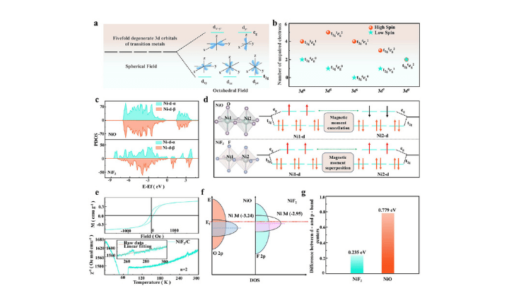Breaking the Spin Blockade- Ferromagnetic NiF2 Electrocatalyst with Exchange-Upgraded d-π Coupling for Electrocatalytic Sulfur Conversion