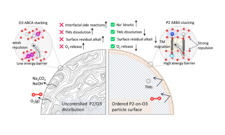 Cationic Potential-Driven Surface Reconstruction Enables Stable High-Voltage Cylindrical Sodium-Ion Batteries