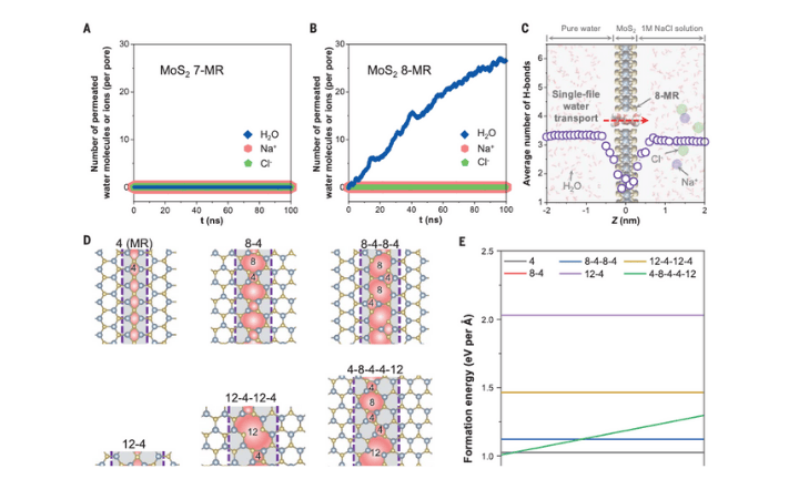 Defect structures at MoS2 grain boundaries