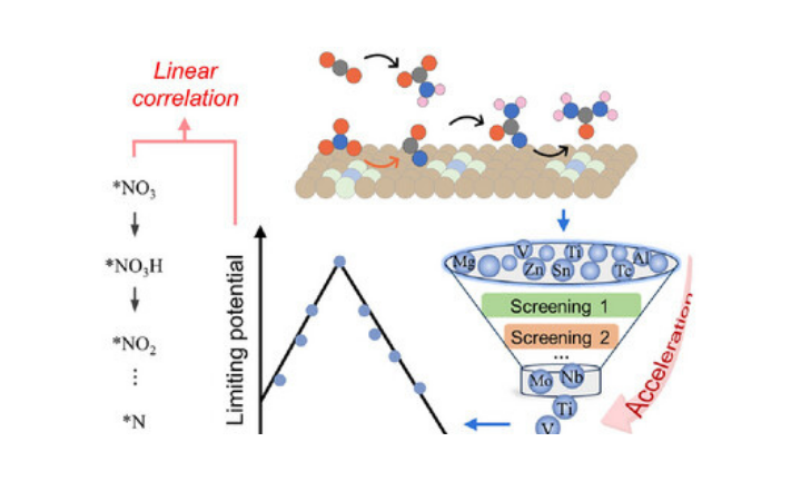 High-Throughput Theoretical Screening of Single-Atom Catalysts for Electrochemical Urea Synthesis