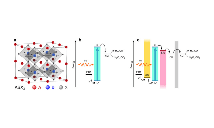 Lead Halide Perovskite Photoelectrocatalysis