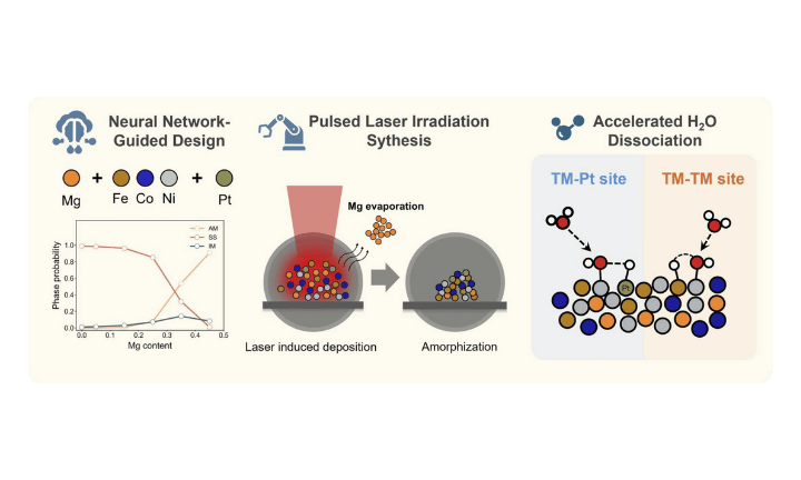 Neural network-guided amorphous alloy design for enhanced water dissociation in alkaline hydrogen evolution