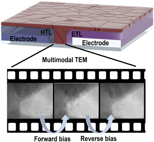 Operando Multimodal Electron Microscopy of Perovskite Nano-LEDs: Nanoscale Degradation and Recovery Behavior