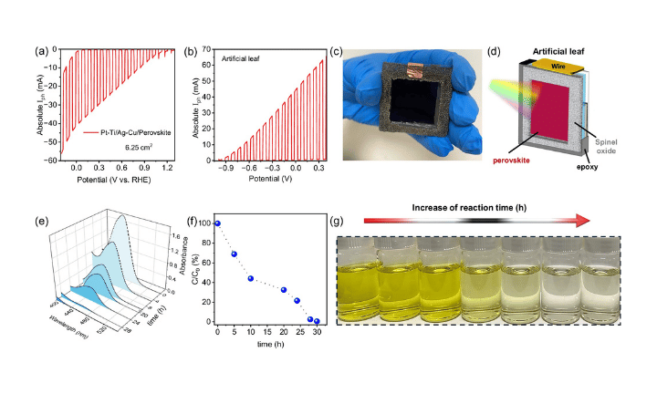 Self-powered artificial leaf using perovskite photocathode for solar hydrogen production and hydrazine degradation
