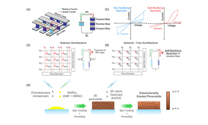 Self-Rectifying Memristors Based on Dimensionally Graded Halide Perovskites