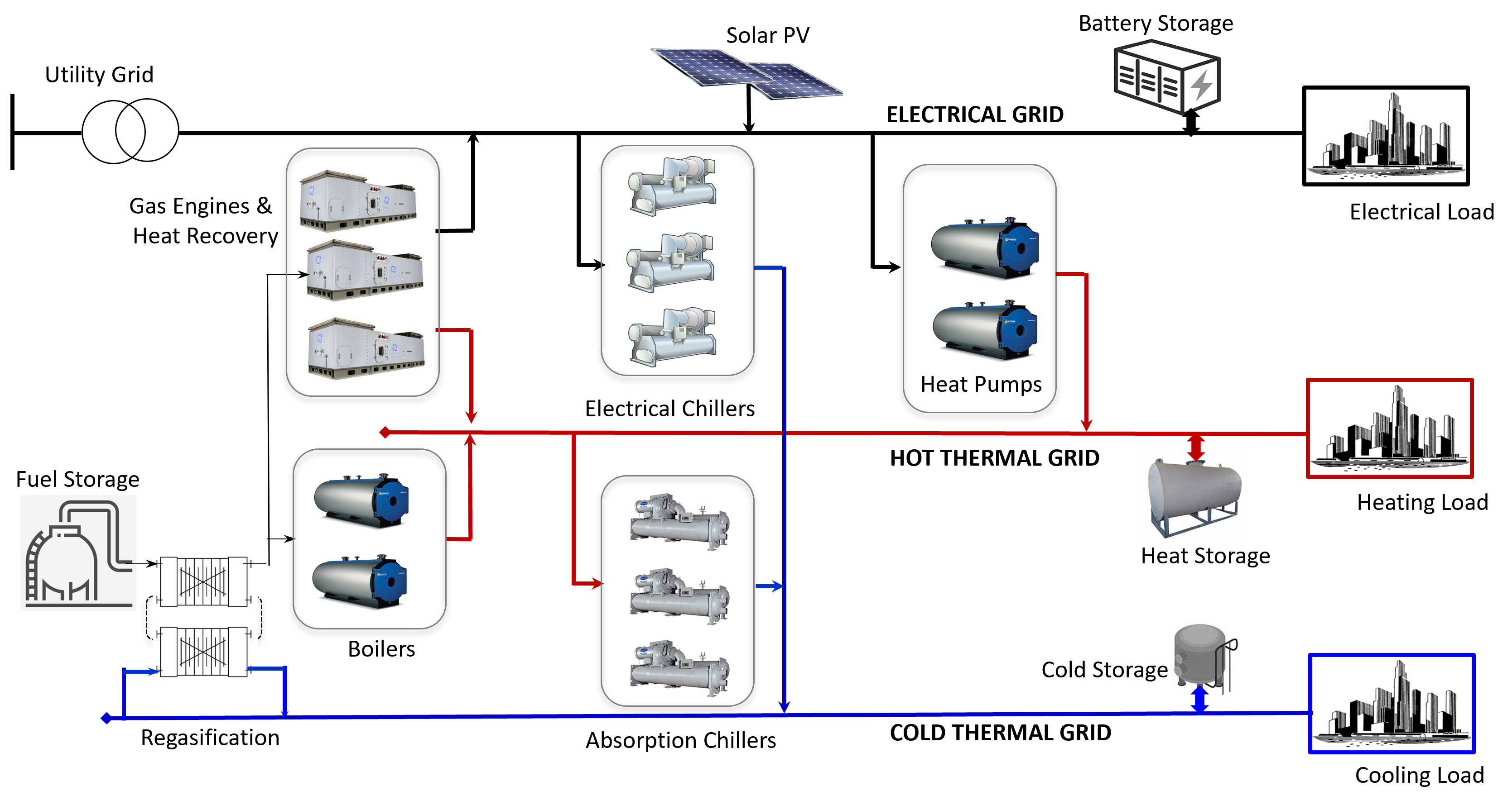 Prof Aless - figure 1