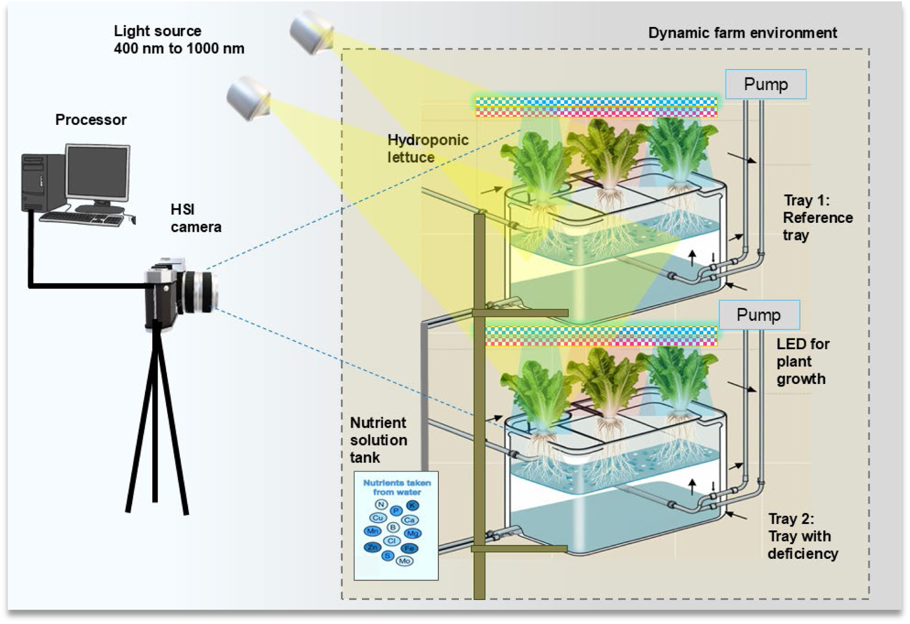 Hyperspectral Imaging (HSI) based monitoring platform for hydroponic lettuce
