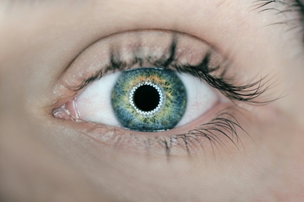 Cognitive and Behavioural Science, eye tracking