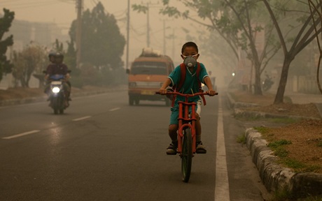 smoke, haze, forest fires, environment