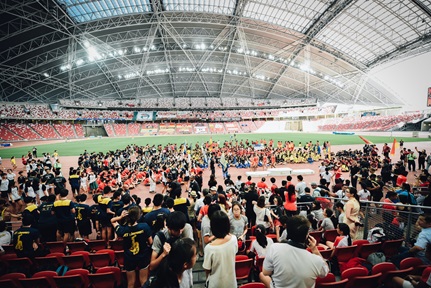 public-private partnership, sports hub, singapore