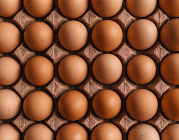 egg freezing, women's fertility