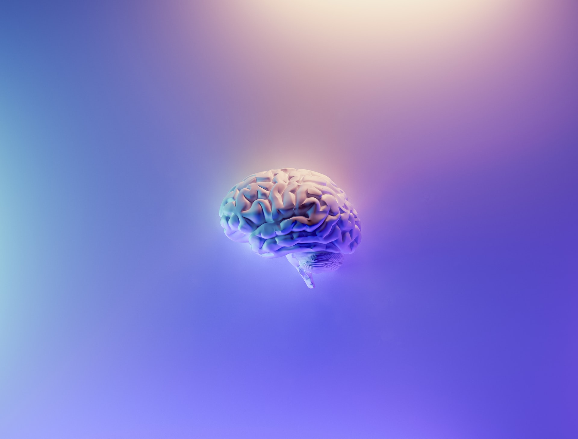 aging brain, older brain, younger brain, decision making