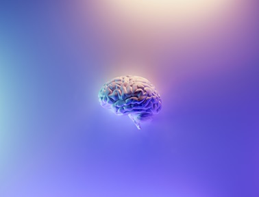 aging brain, older brain, younger brain, decision making