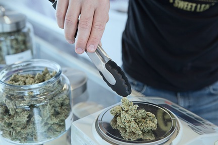 cannabis, drugs