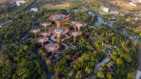 View of Gardens by the Bay, Singapore