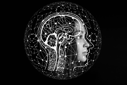 brain, psychopathy, criminology