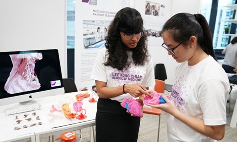 Students looking at 3D printed anatomical model of heart