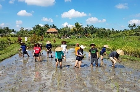 Bali3 Bali3
