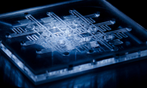Bio device