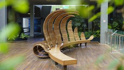 The Fern