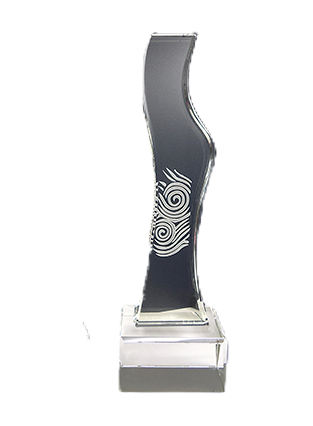 Nanyang Alumni Service Award