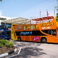 19 Open Top Bus