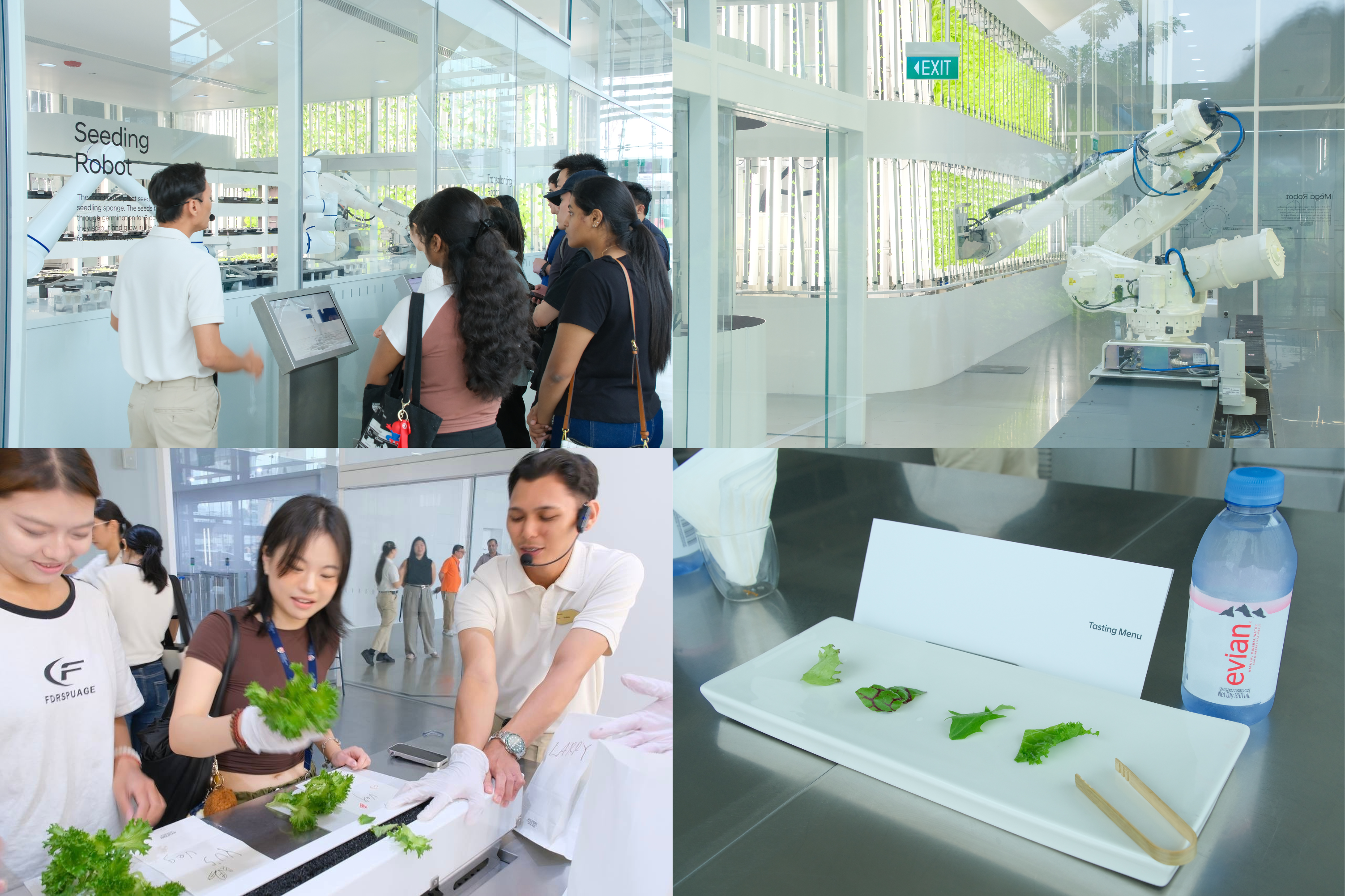 Hyundai Tour - Smart Farm 4 Pics