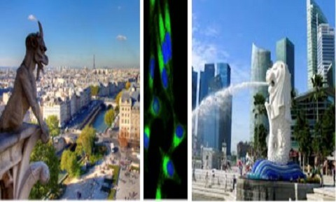France and Singapore landmarks