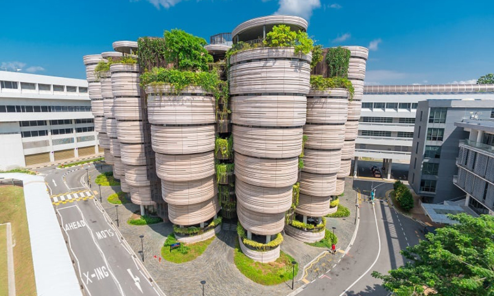 The Hive
