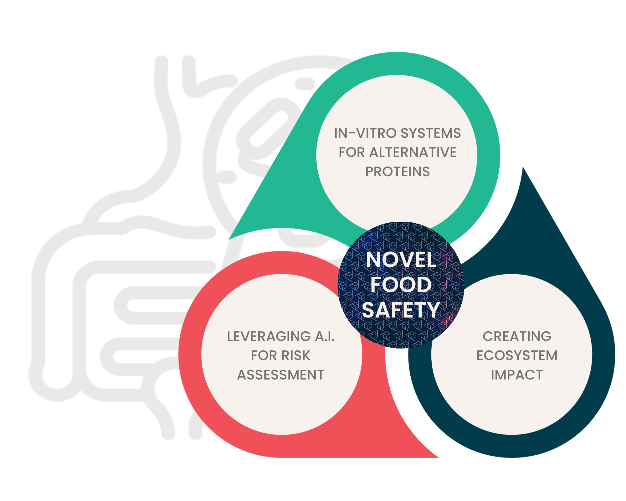 Novel Food Safety