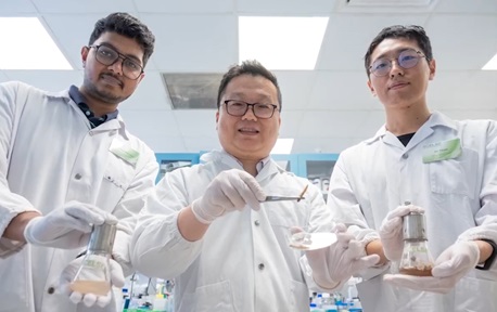 NTU worms