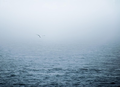 Earth & Water