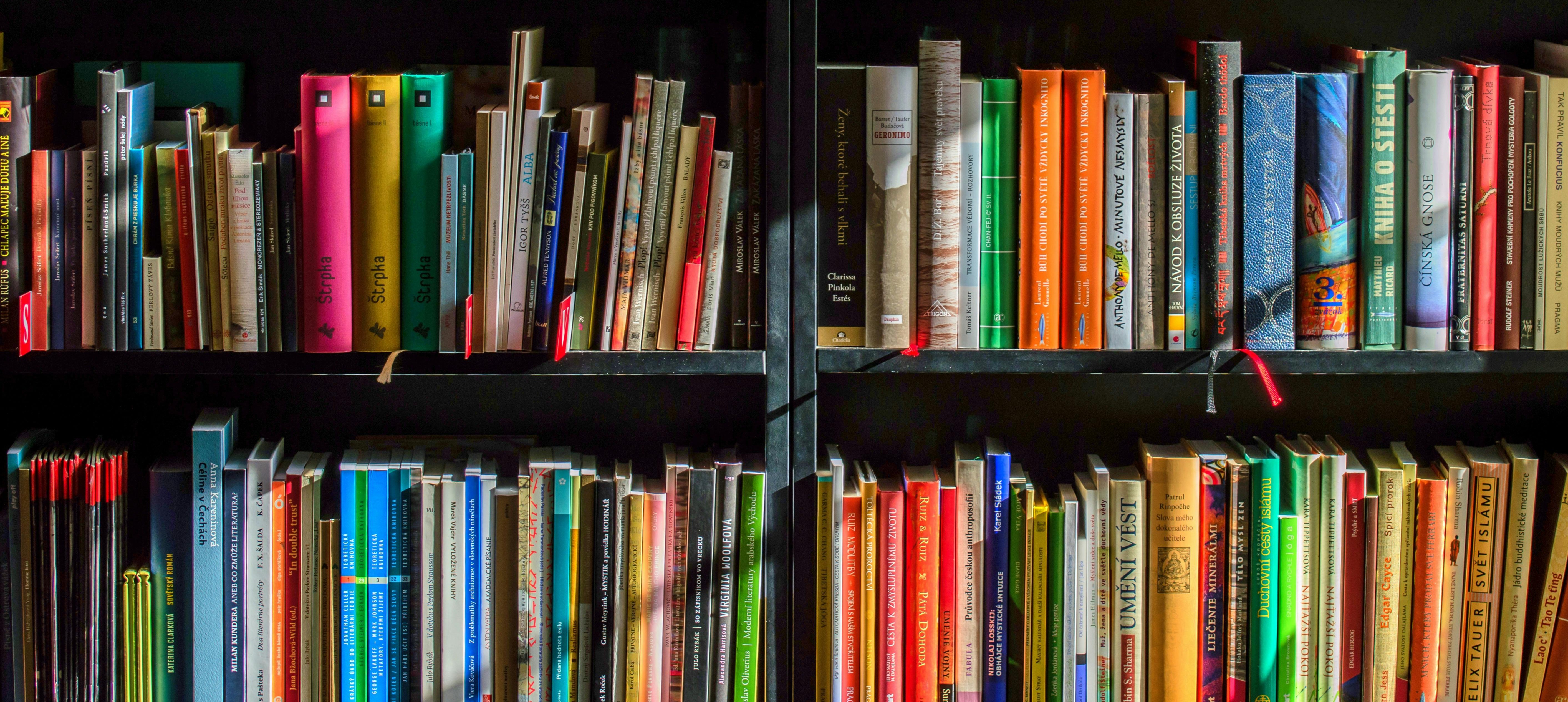Study scholarships