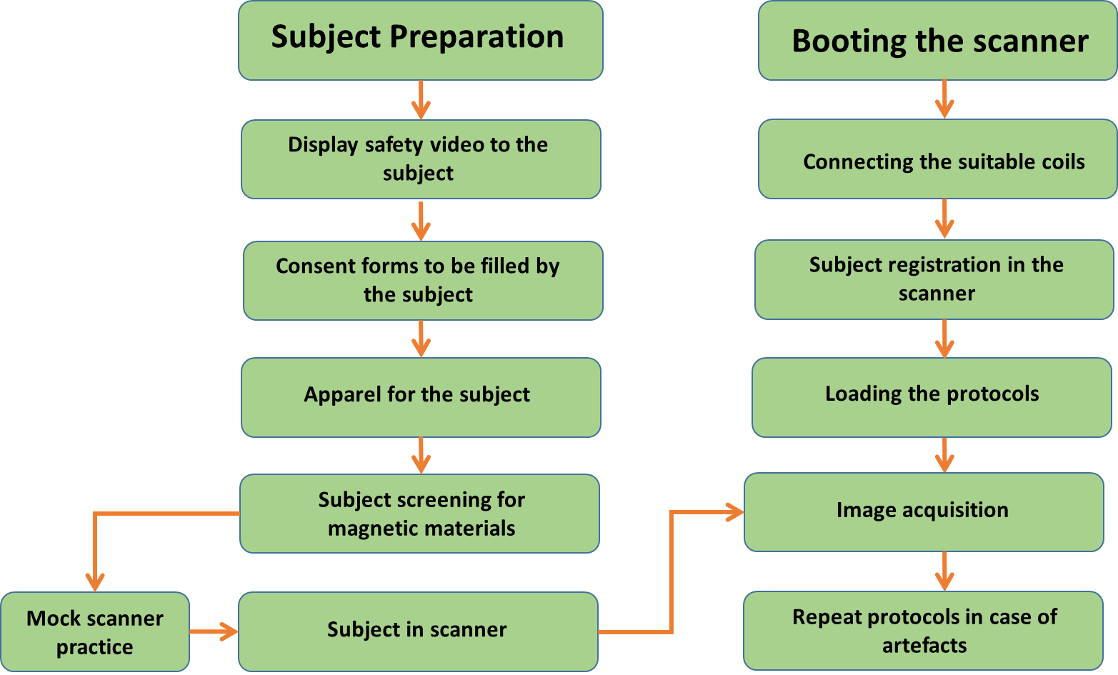 Anatomical Workflow