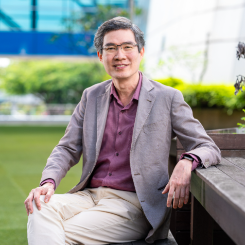 Prof Teik Thye LIM