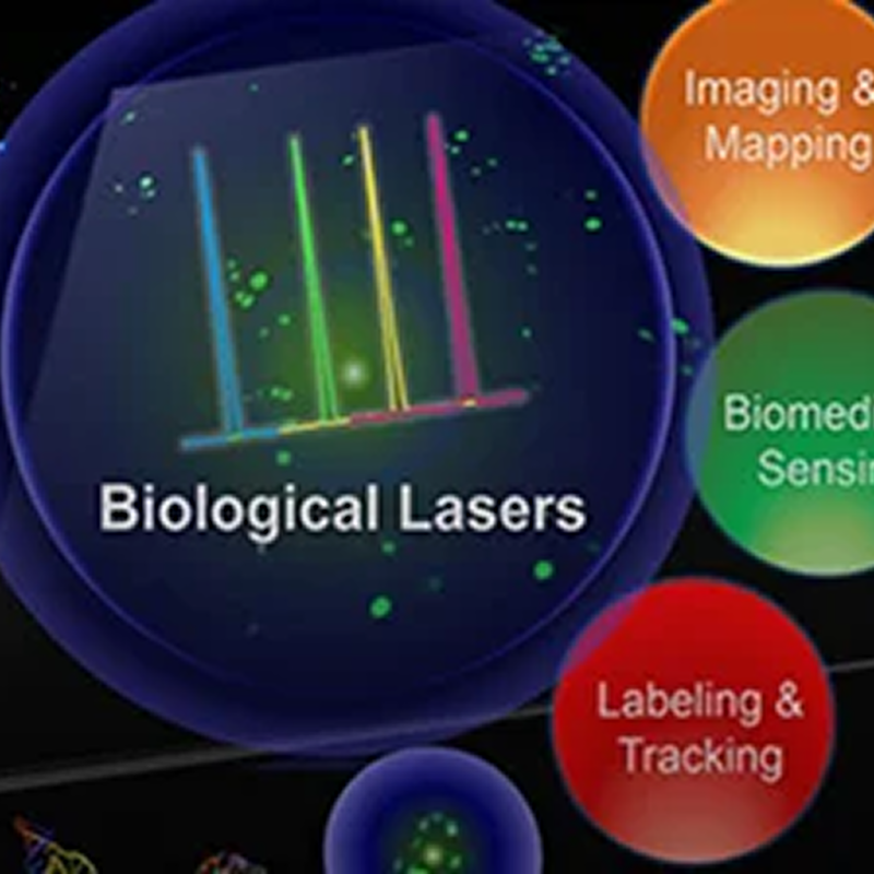 Centre for Bio-Devices and Bio-Informatics (CBB)