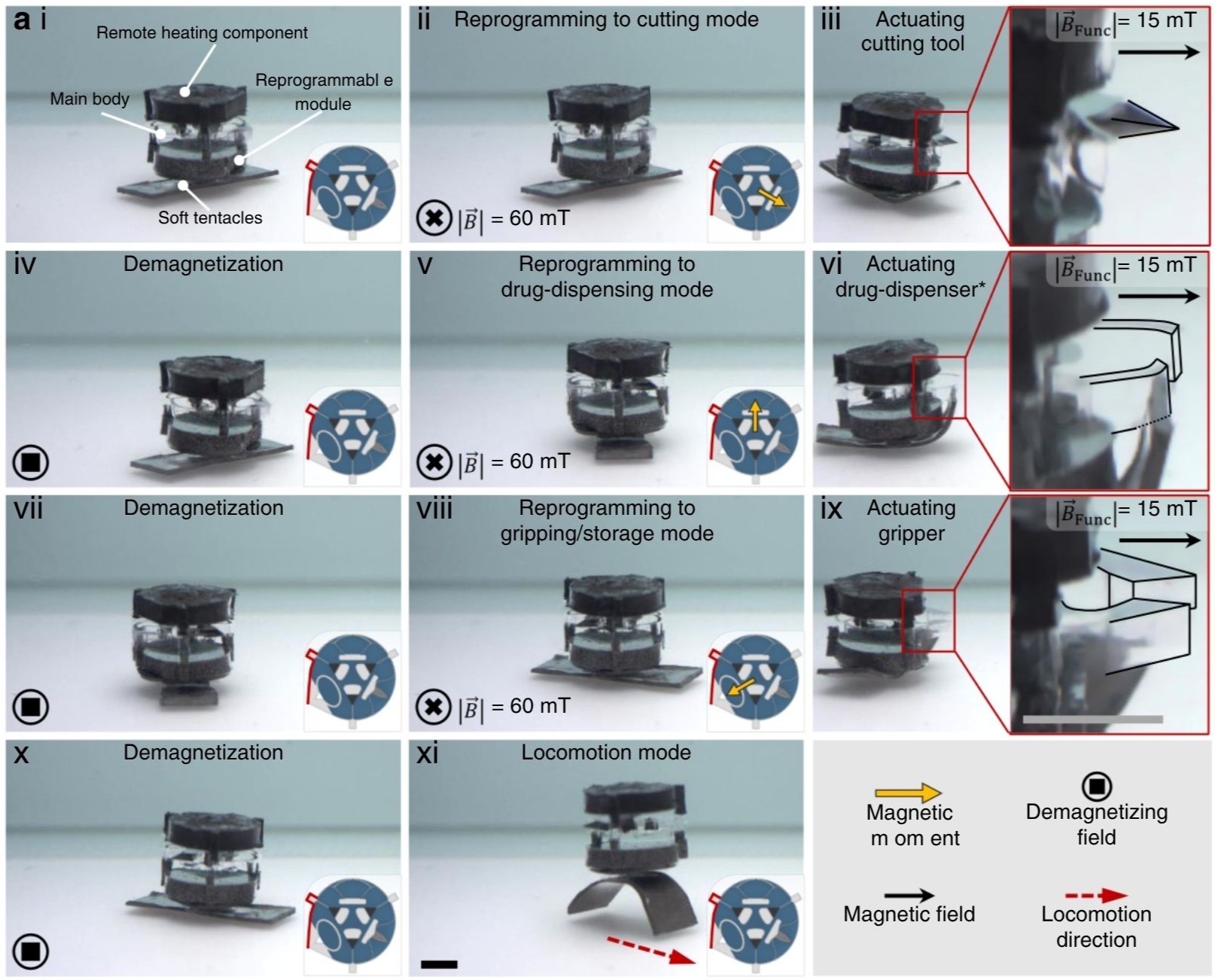Robot architecture and functions