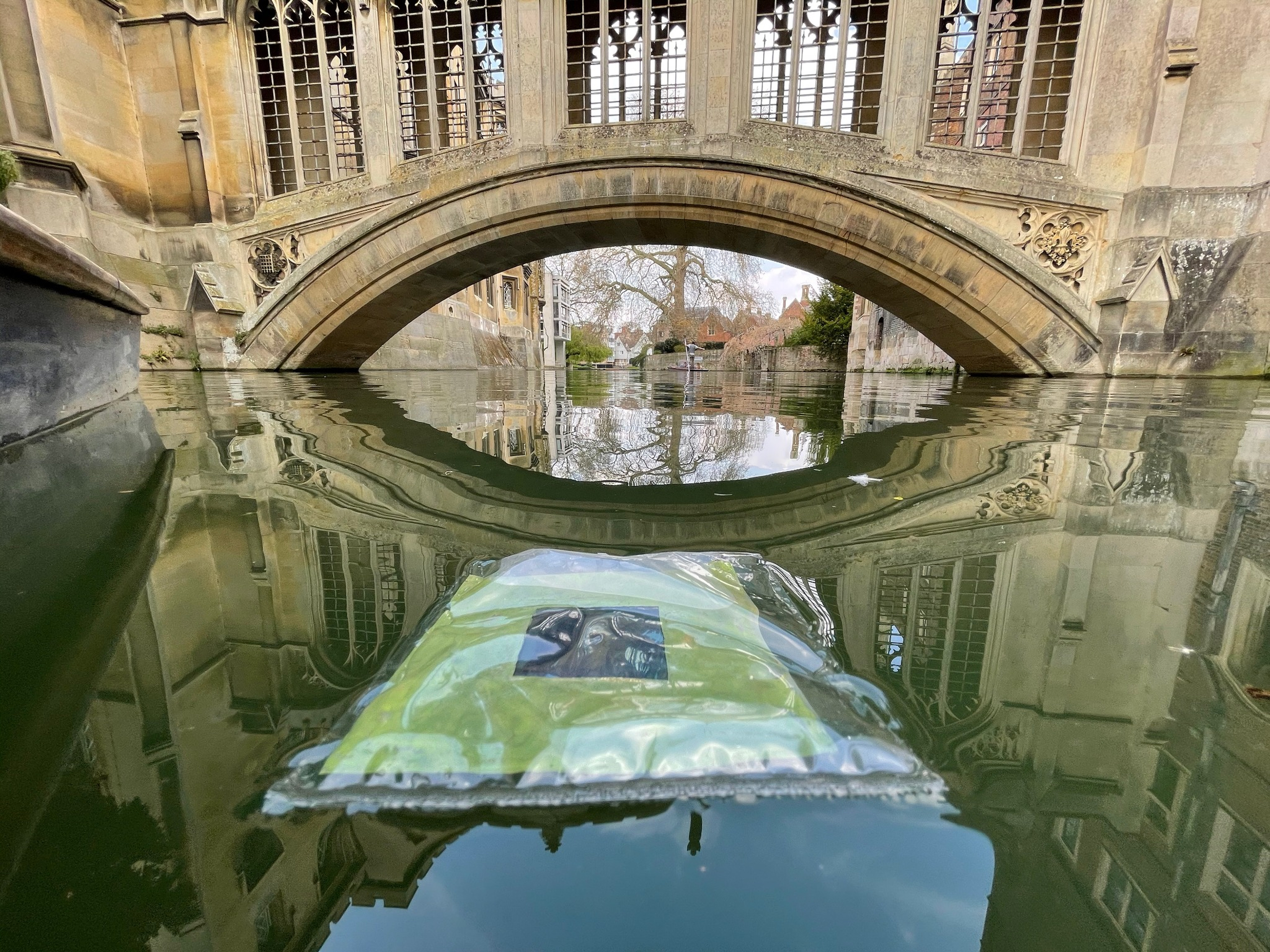 Artificial leaf photographed in River Cam, Cambridge