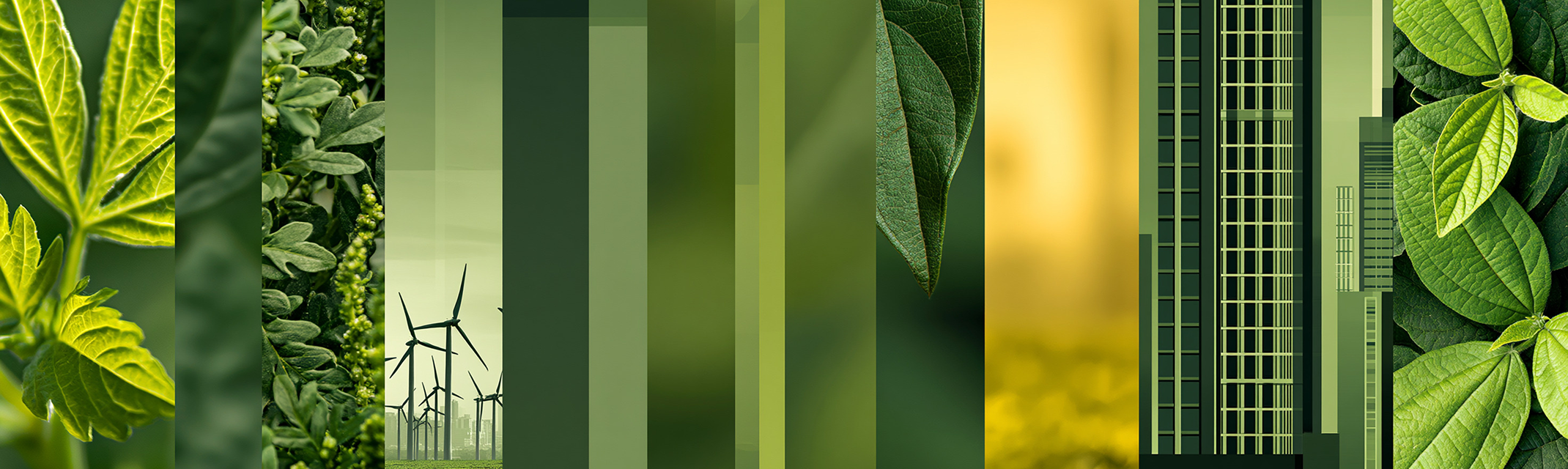 Renewable energy sources, and community development initiatives