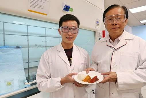 Professor Lee Soo Ying and Eric Shim, with samples of white and coloured bird’s nests.