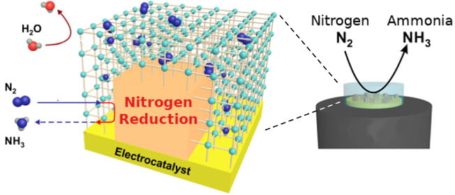 Schematic of the nitrogen fixing (reducing) system. Credit: Lee Hiang Kwee, Ling Xing Yi, et al.