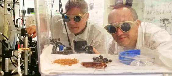 Prof. Rainer Dumke (left), Prof. Tomasz Paterek (right), and their test subject (front). Photo credit: Janis Zhang.