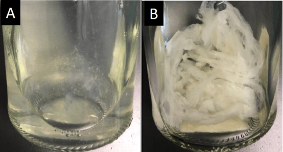 Fig-1