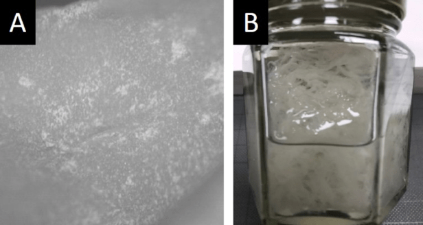 Fig-3