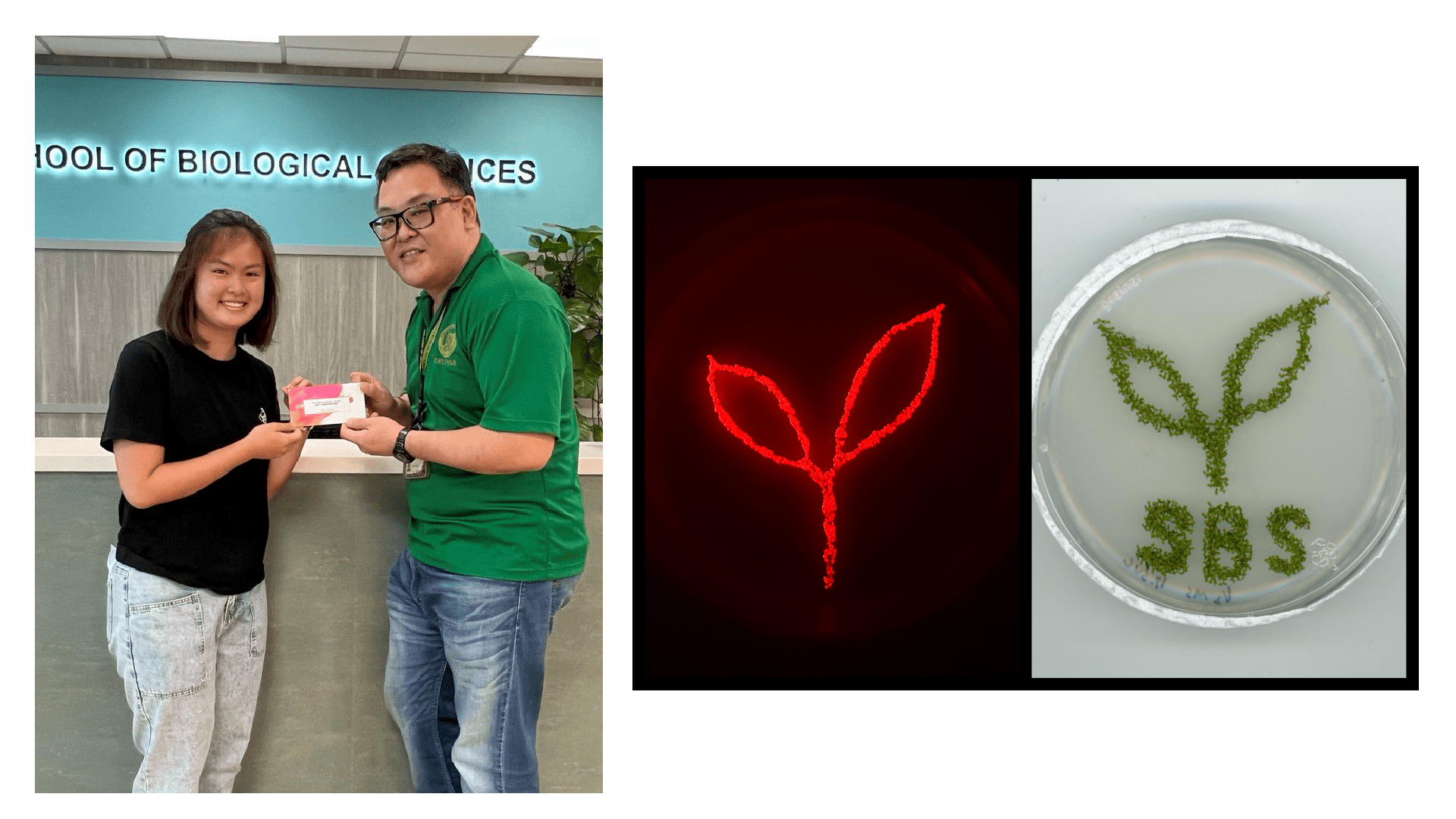 Photo-Contest-Winners-Article-1st